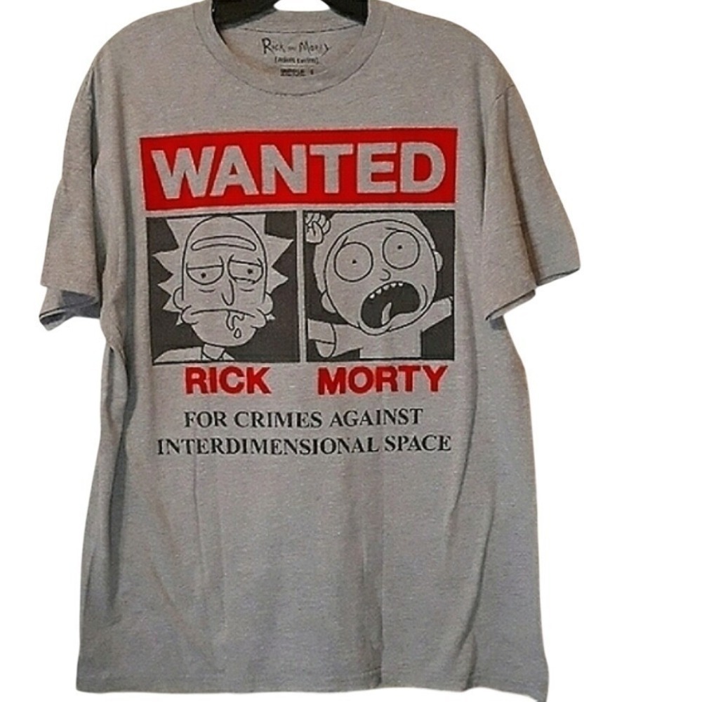 Rick and Morty Adult Swim Wanted Poster Graphic Tee Grey Ripple Junction Large